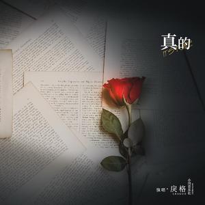 高难度动作簧片一级簧在线免费观看
